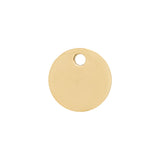 Engravable Mini Disc Necklace in Gold